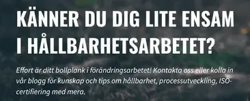 Effort Consulting AB