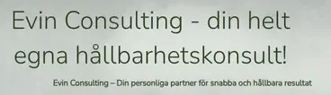 Evin Consulting